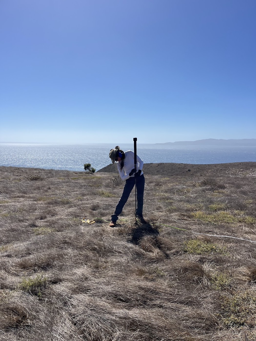 Measuring soil penetrometer resistance, 2025.