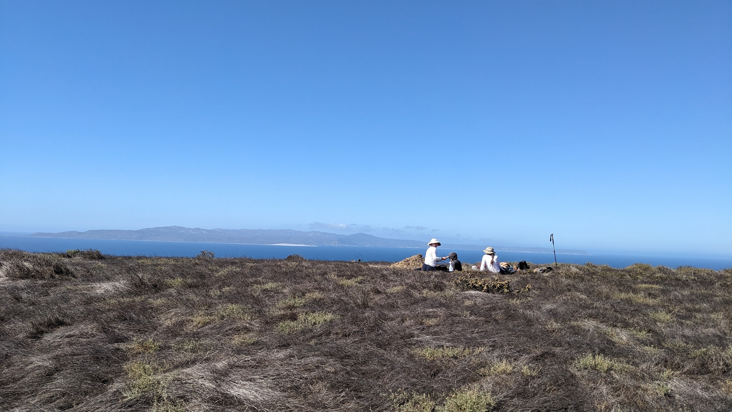 Santa Cruz Island