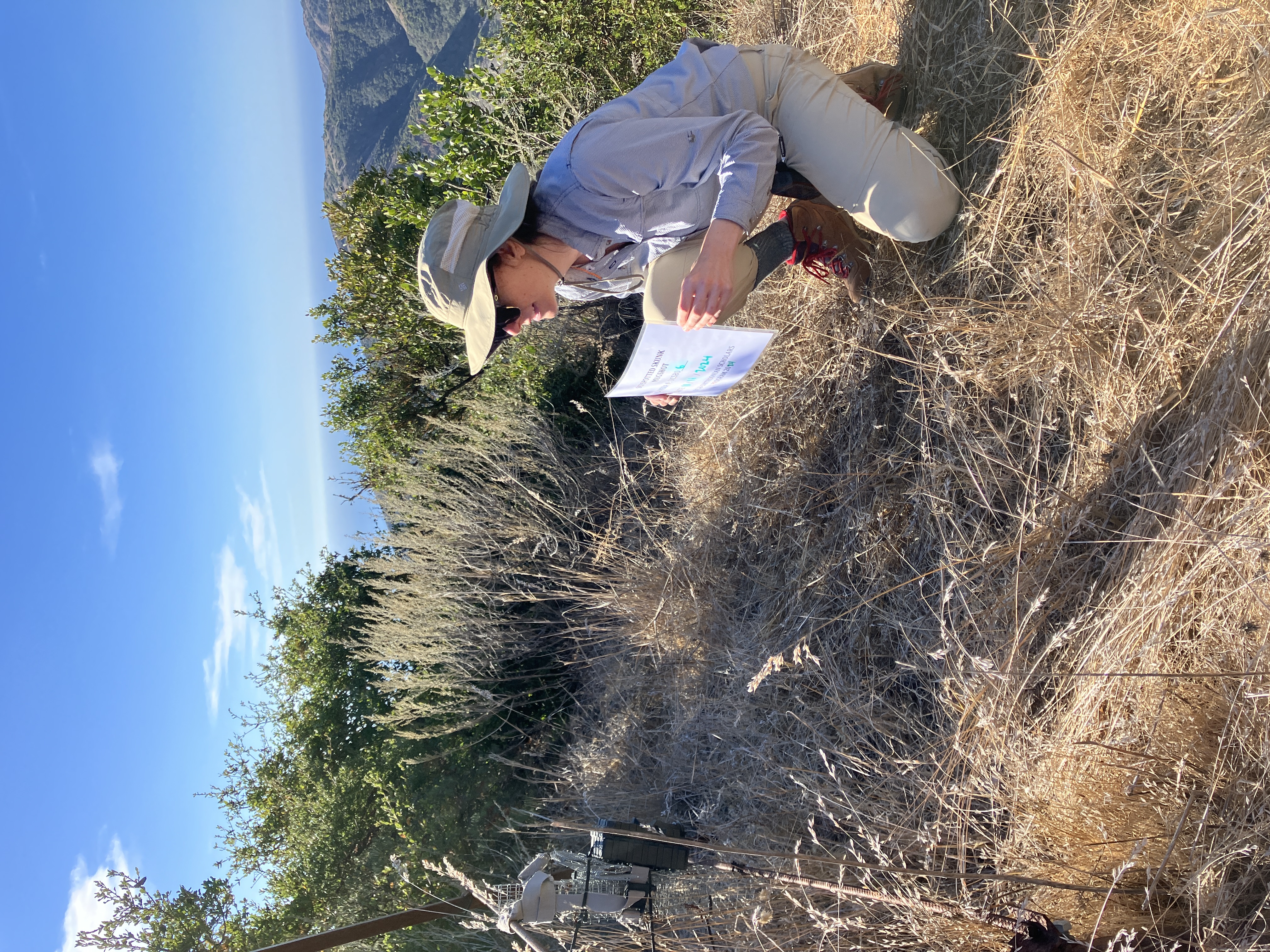 Deploying a camera trap, 2024.