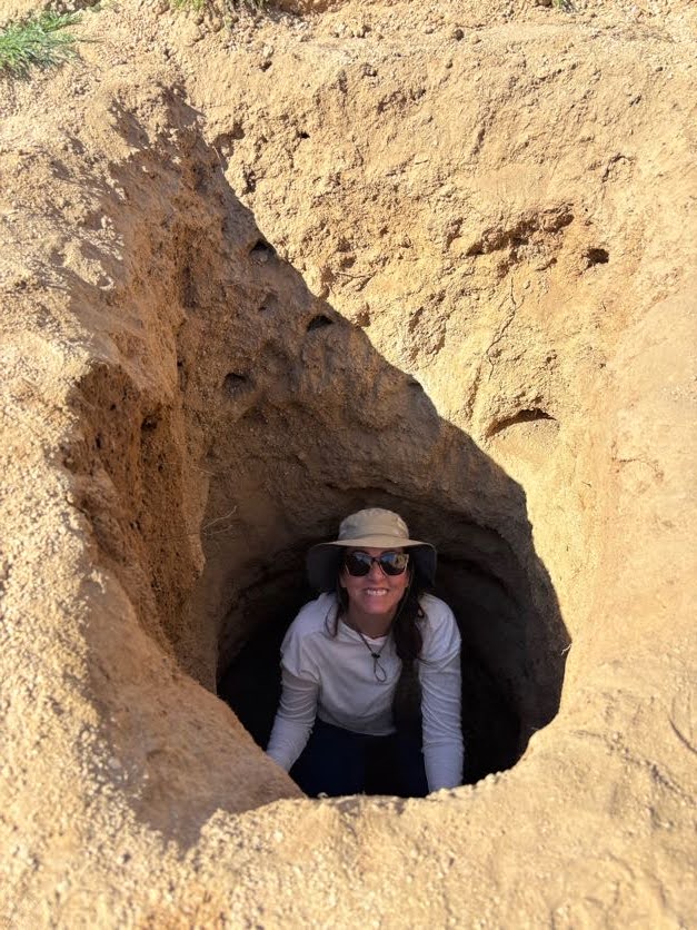 Mojave Desert
