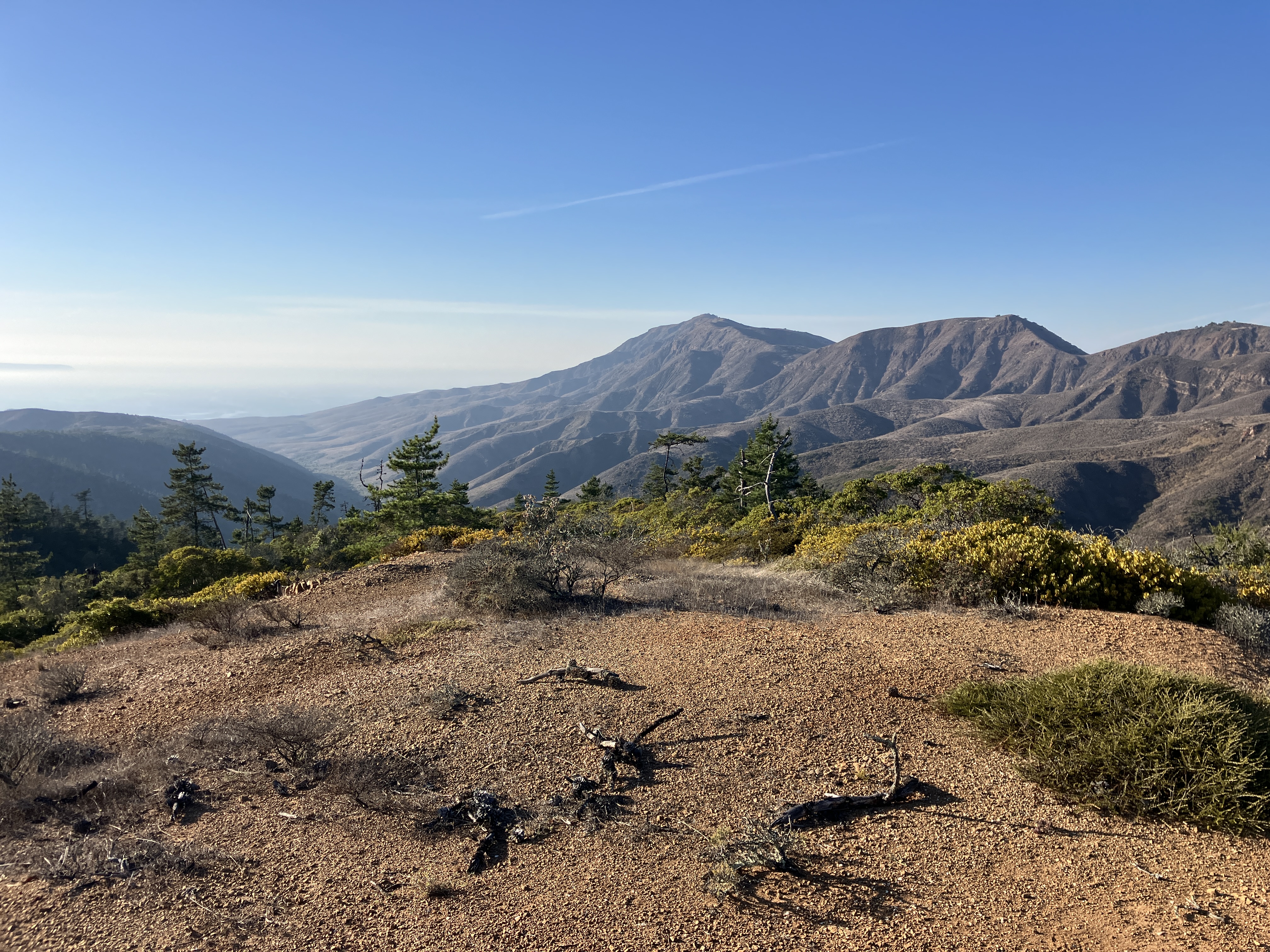 Santa Cruz Island landscape, 2025.