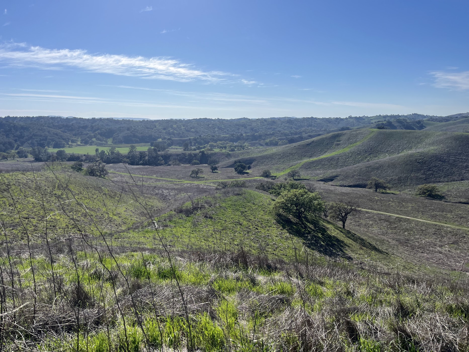Sedgwick Reserve