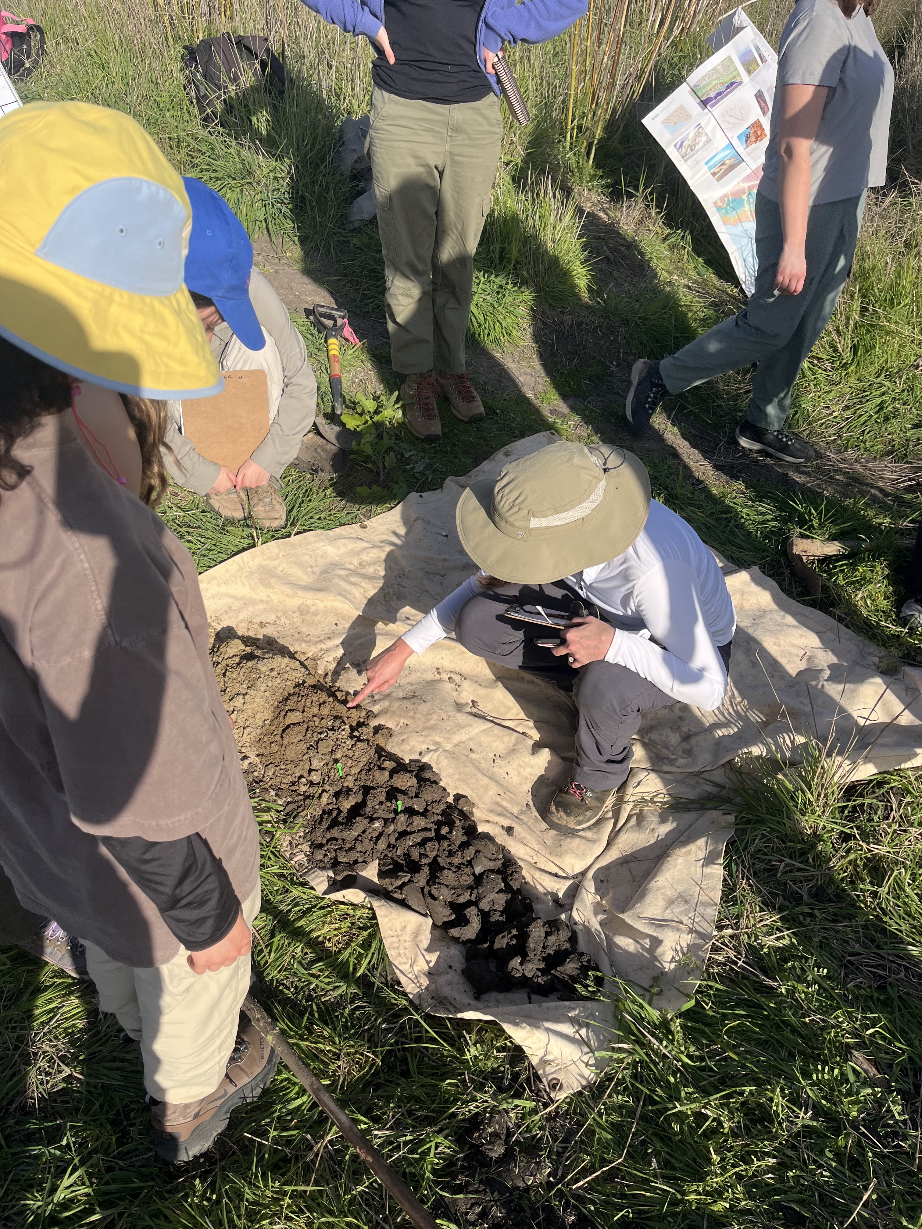 Identifying soil horizons at More Mesa, 2026.